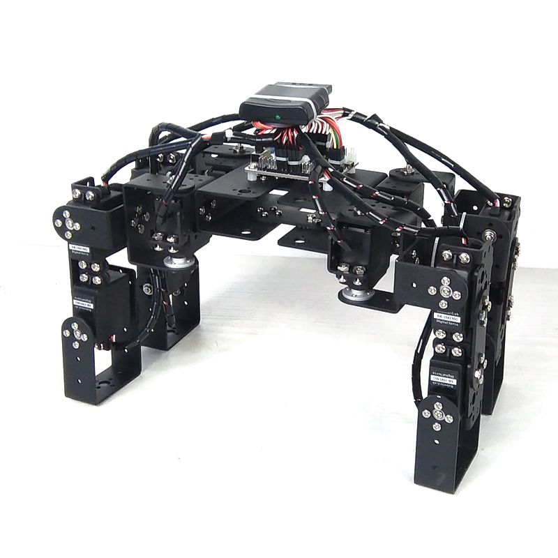Robot Arm Kit - 12 serbestlik dereceli Servos ped Robot