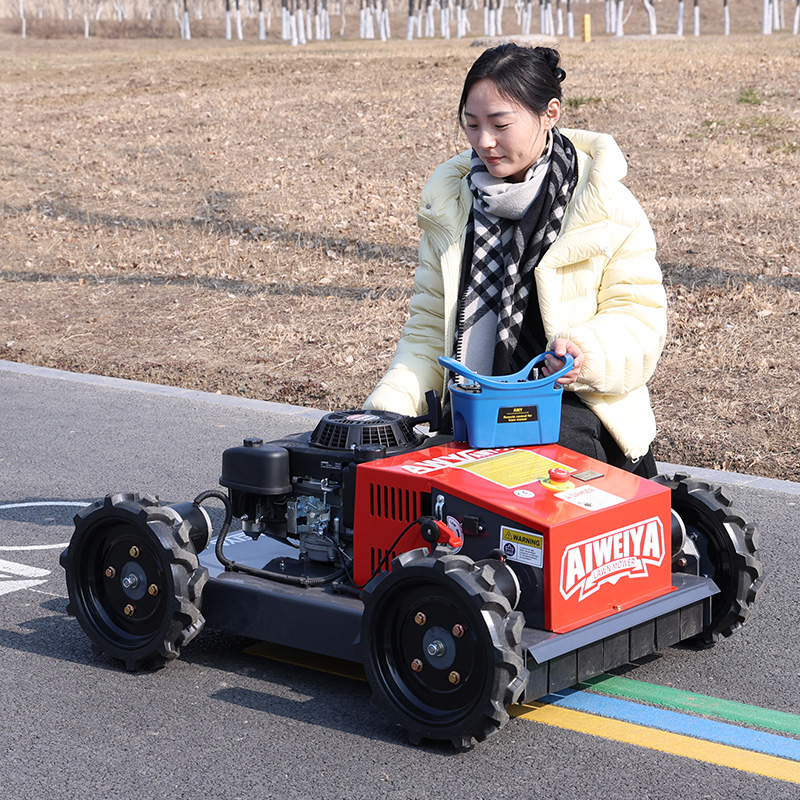 Özelleştirilmiş Çim Biçme Robo - Robot Wheel incelemesi ve fiyatı