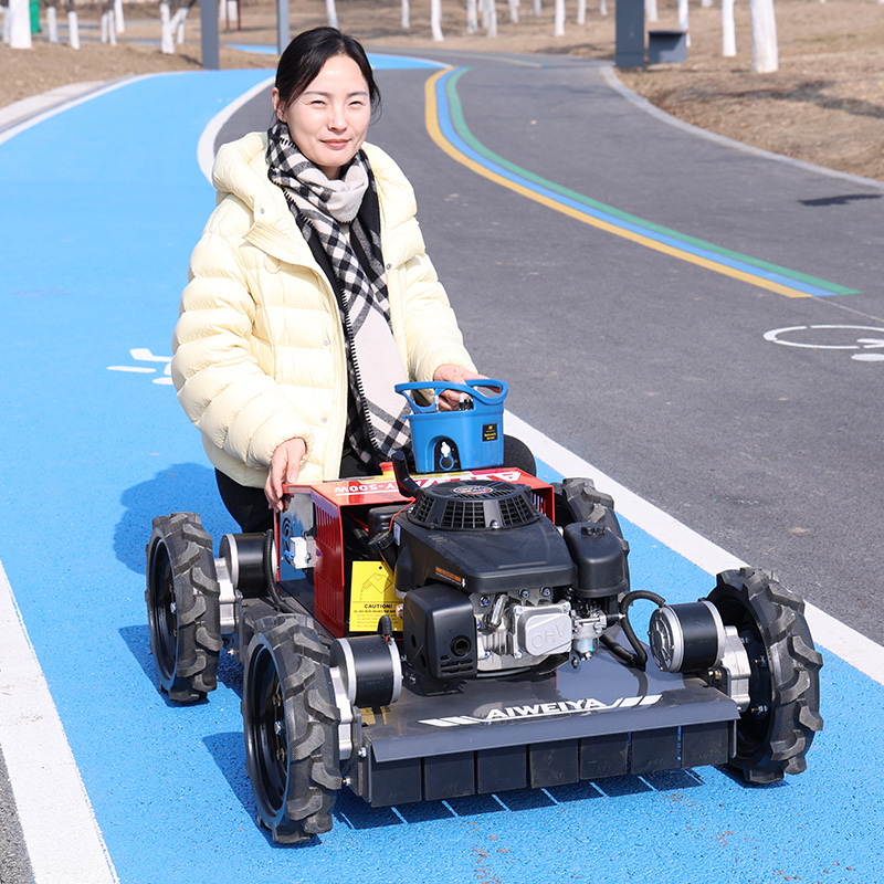 Özelleştirilmiş Çim Biçme Robo - Robot Wheel incelemesi ve fiyatı